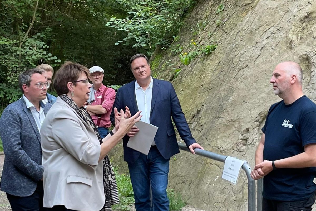 Im intensiven Austausch stand Ministerin Birgit Honé hier mit MdEPTimo Wölken, Timo Natemeyer und Ivo Neuber
