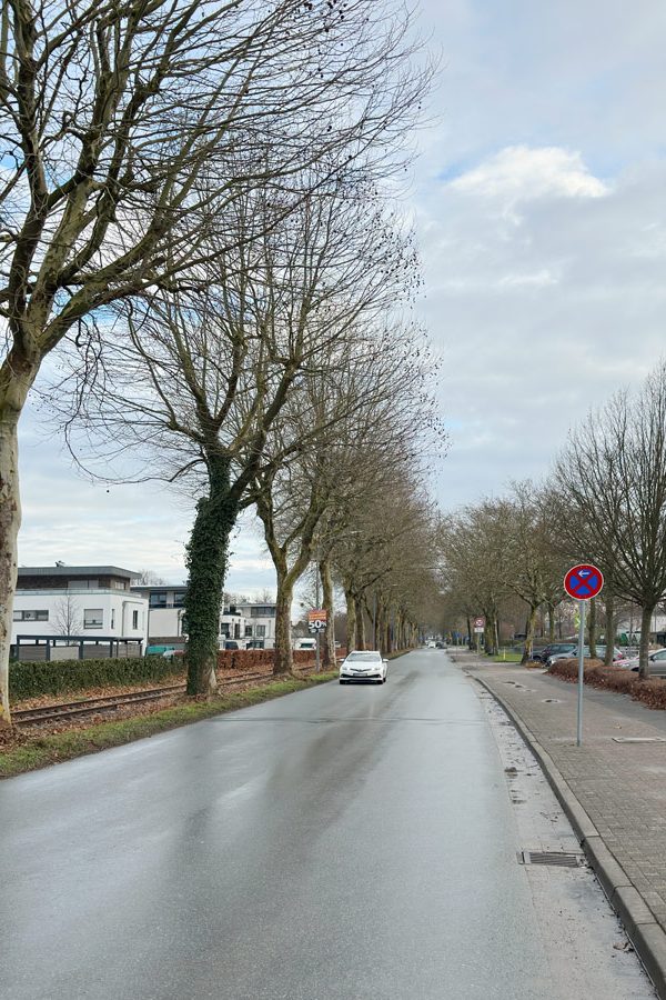 Blick auf die Schulallee Bad Essen mit einem Tempo30 Schild